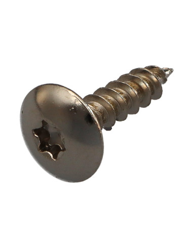 1 x Vis Penture 6X25 Filetage total TORX T30...