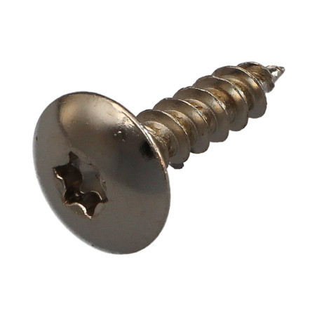 1 x Vis Penture 6X25 Filetage total TORX T30 Acier nickelé