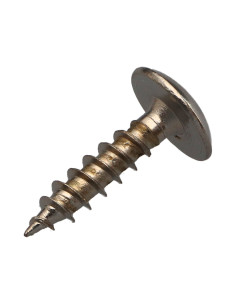 Vis Penture 6X25 Filetage total TORX T30 Acier nickelé 2
