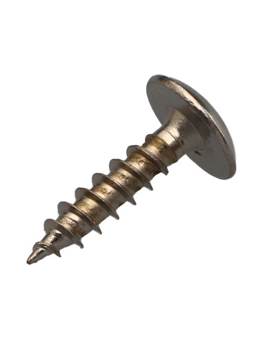 1 x Vis Penture 6X25 Filetage total TORX T30...
