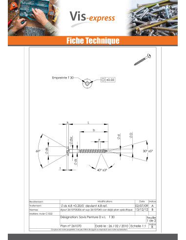 1 x Vis Penture 7X60 Filetage total TORX T30...