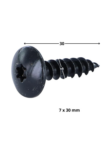 1 x Vis bois TEKOR Vis Penture 7X30 Filetée sur...