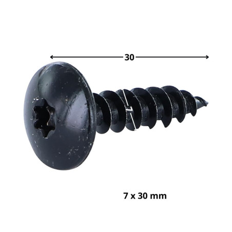 1 x Vis bois TEKOR Vis Penture 7X30 Filetée sur 30 TORX T30 Acier zingué noir Pointe antifendage type 17