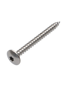 Vis Penture 4.5X50 Filetage total TORX T20 Acier chrome