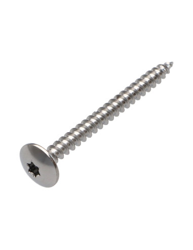 1 x Vis Penture 4.5X50 Filetage total TORX T20...