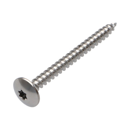 1 x Vis Penture 4.5X50 Filetage total TORX T20 Acier chrome