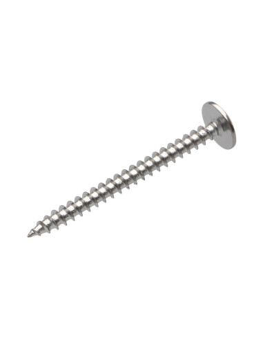 1 x Vis Penture 4.5X50 Filetage total TORX T20...