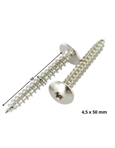1 x Vis Penture 4.5X50 Filetage total TORX T20...