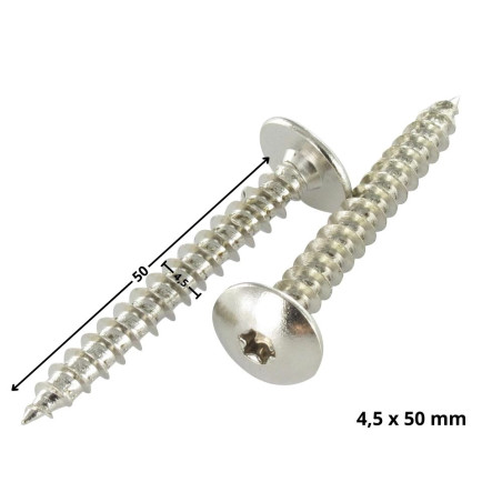 1 x Vis Penture 4.5X50 Filetage total TORX T20 Acier chrome