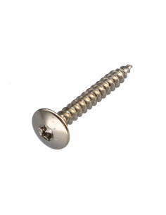 Vis Penture 6X60 Filetage partiel TORX T30 Acier nickelé