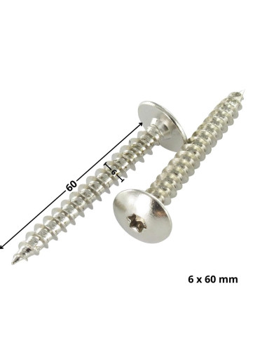 1 x Vis Penture 6X60 Filetage partiel TORX T30...