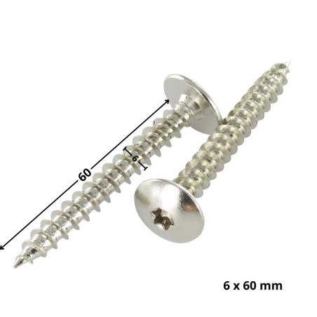 1 x Vis Penture 6X60 Filetage partiel TORX T30 Acier nickelé