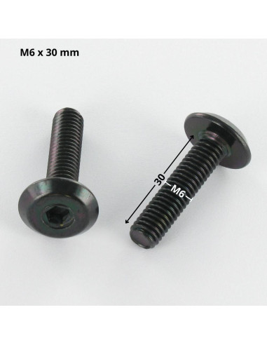 1 x Vis métaux tête plate Clé de 4 HC4 M6X30...