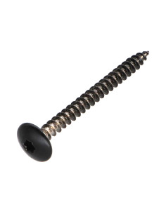 Vis Penture 4.5X50 Filetage total TORX T20 Acier chrome...