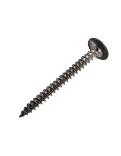 Vis Penture 4.5X50 Filetage total TORX T20 Acier chrome... 2