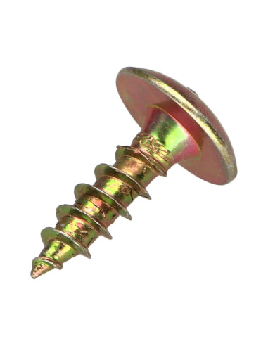 1 x Vis Penture 6X20 Filetage total TORX T30...