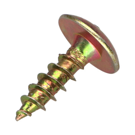 1 x Vis Penture 6X20 Filetage total TORX T30 Bichromaté