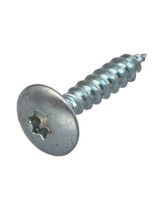 Vis Penture 6X40 Filetage partiel TORX T30 Acier zingué