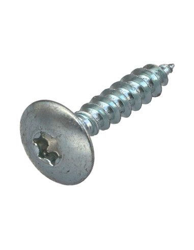 1 x Vis Penture 6X40 Filetage partiel TORX T30...
