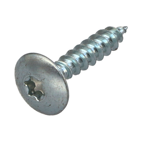 1 x Vis Penture 6X40 Filetage partiel TORX T30 Acier zingué