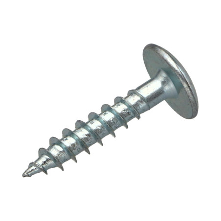 1 x Vis Penture 6X40 Filetage partiel TORX T30 Acier zingué