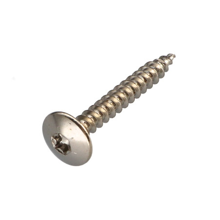 1 x Vis Penture 6X45 Filetage partiel TORX T30 Acier nickelé