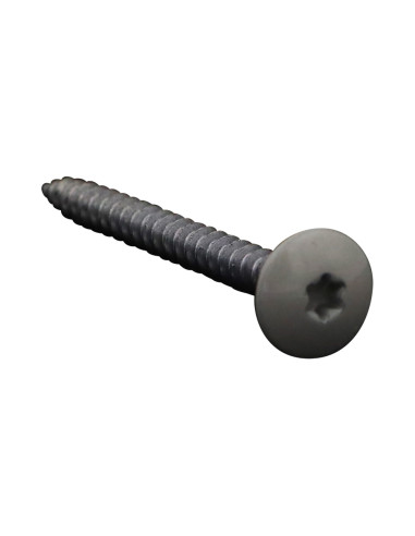 1 x Vis Penture 4.5X50 Filetage total TORX T20...