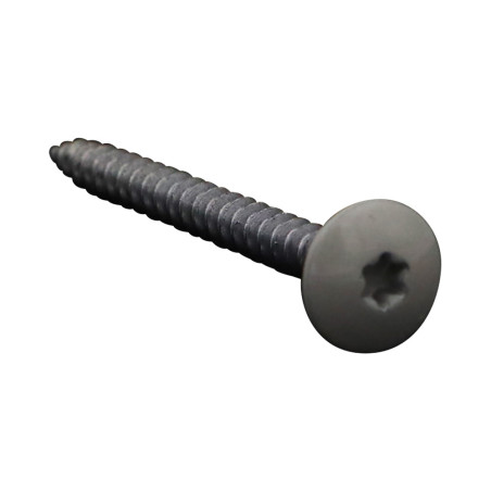 1 x Vis Penture 4.5X50 Filetage total TORX T20 Acier zingué LAQ RAL7044