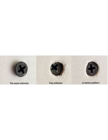 1 x Vis pour plaque de plâtre Vis TTPC 3.5X45...