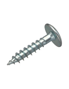 Vis Penture 6X30 Filetage partiel TORX T30 Acier zingué 2