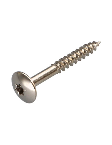 1 x Vis Penture 4X35 Filetée sur 20 TORX T20...