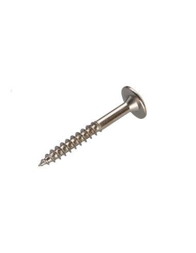 1 x Vis Penture 4X35 Filetée sur 20 TORX T20...