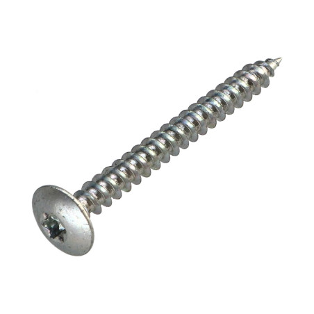 1 x Vis Penture 6X60 Filetage partiel TORX T30 Diamètre de tête: 14 Acier zingué 96 heures brouillard salin sans