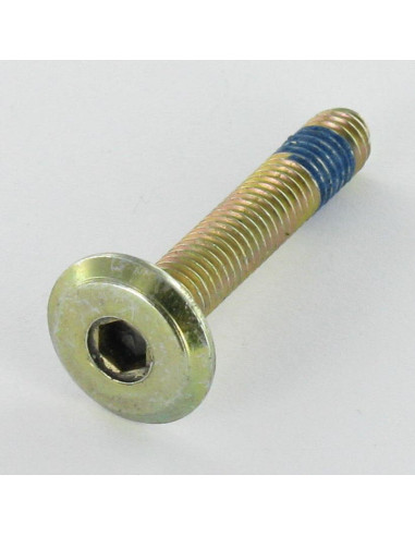 1 x Vis métaux tête plate Clé de 4 HC4 M6X60...
