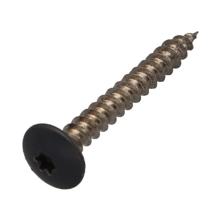 1 x Vis Penture 5X40 Filetage total TORX T20 Acier zingué RAL7015 gris ardoise