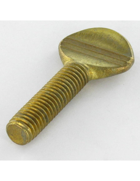 1 x Vis VIOLON Laiton M8X20