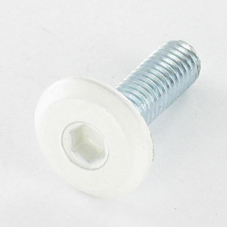 1 x Vis métaux tête plate Clé de 4 HC4 M6X20 Acier zingué Tête RAL9010 blanc pur