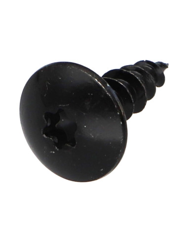 1 x Vis Penture 5.5X16 Filetage total TORX T30...