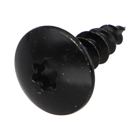 1 x Vis Penture 5.5X16 Filetage total TORX T30 Acier zingué noir