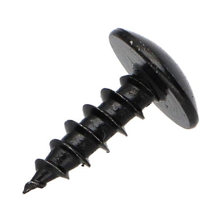 1 x Vis Penture 5.5X16 Filetage total TORX T30 Acier zingué noir