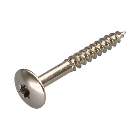 1 x Vis Penture 5X40 Filetage total TORX T20 Acier nickelé