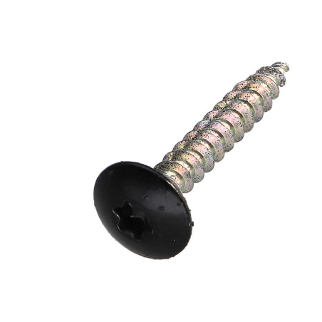1 x Vis Penture 4X30 Filetée sur 20 TORX T20 Acier zingué RAL9005 noir foncé 30%B