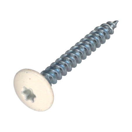 1 x Vis Penture 4.5X35 Filetage total TORX T20 Acier zingué RAL9010 blanc pur