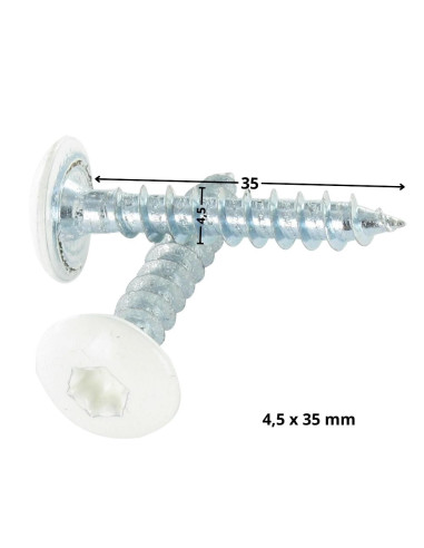 1 x Vis Penture 4.5X35 Filetage total TORX T20...