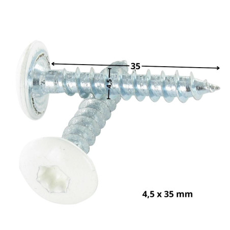1 x Vis Penture 4.5X35 Filetage total TORX T20 Acier zingué RAL9010 blanc pur