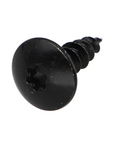 Vis Penture 5X16 Filetage total TORX T20 Acier zingué noir
