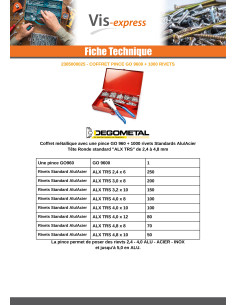 Assortiment de PINCE GO9600 + 100 Rivet DEGOMETAL 2