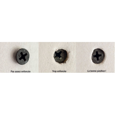 1 x Vis pour plaque de plâtre Vis TTPC 3.5X55 Acier phosphate