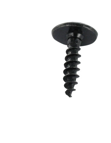 1 x Vis Penture Pozi N°3 5X20 Acier zingué noir