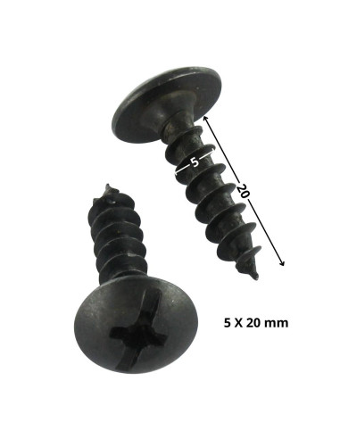 1 x Vis Penture Pozi N°3 5X20 Acier zingué noir